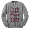 I'm Only Here For A Muggle Studies Assignment Sweatshirt