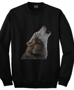 Wolf troye sivan sweatshirt