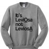its leviosa sweatshirt