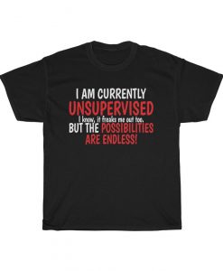 Possiblities Endless Sarcastic T Shirt