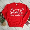 Christmas Sweatshirt, Santa stop judging me