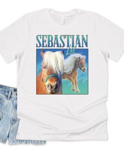 Lil Sebastian Homage T-shirt Top Shirt Tee Funny Parks and Recreation Show 90's 80's Rec