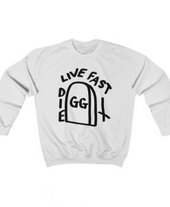 GG Allin Live Fast Die Fast Sweatshirt, Punk Rock, Mens and Womens Sweater