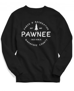 Parks & Rec Sweatshirt, Vintage Sweatshirt, Retro Shirt, Women's, Men's, Sebastian Shirt, Pawnee