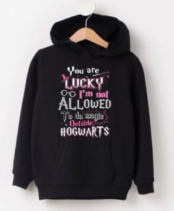 You Are Lucky I’m Not Allowed To Do Magic HOODIE