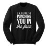 I’m Secretly Punching You in the Face, Sarcasm College Sweatshirt